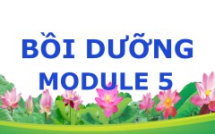 Bài tập cuối khóa Bồi dưỡng Module 5 cho Cán bộ quản lý trường Phổ thông