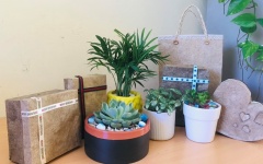 Làm giấy và sản phẩm thủ công từ bẹ chuối