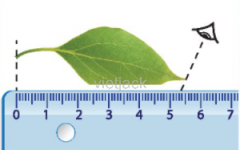 Đề kiểm tra giữa học kỳ I môn KHTN 6