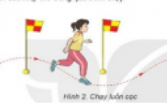 Kế hoạch bài dạy Giáo dục thể chất 6 (học kỳ 2)