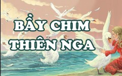 Bầy chim thiên nga