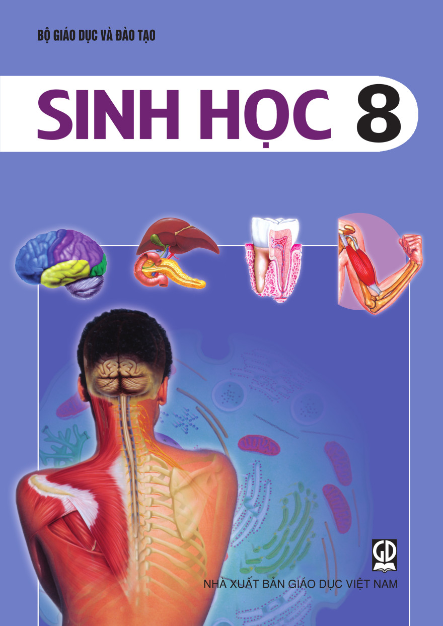 Sách giáo khoa Sinh học lớp 8