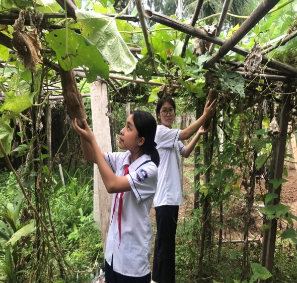 Sản phẩm sáng tạo từ xơ mướp