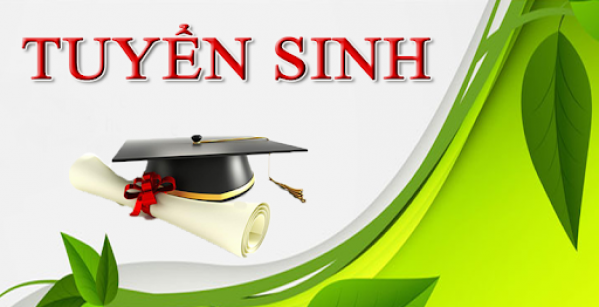 Sử dụng phần mềm tuyển sinh đầu cấp